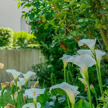 Of The Flying Bridges アパート *